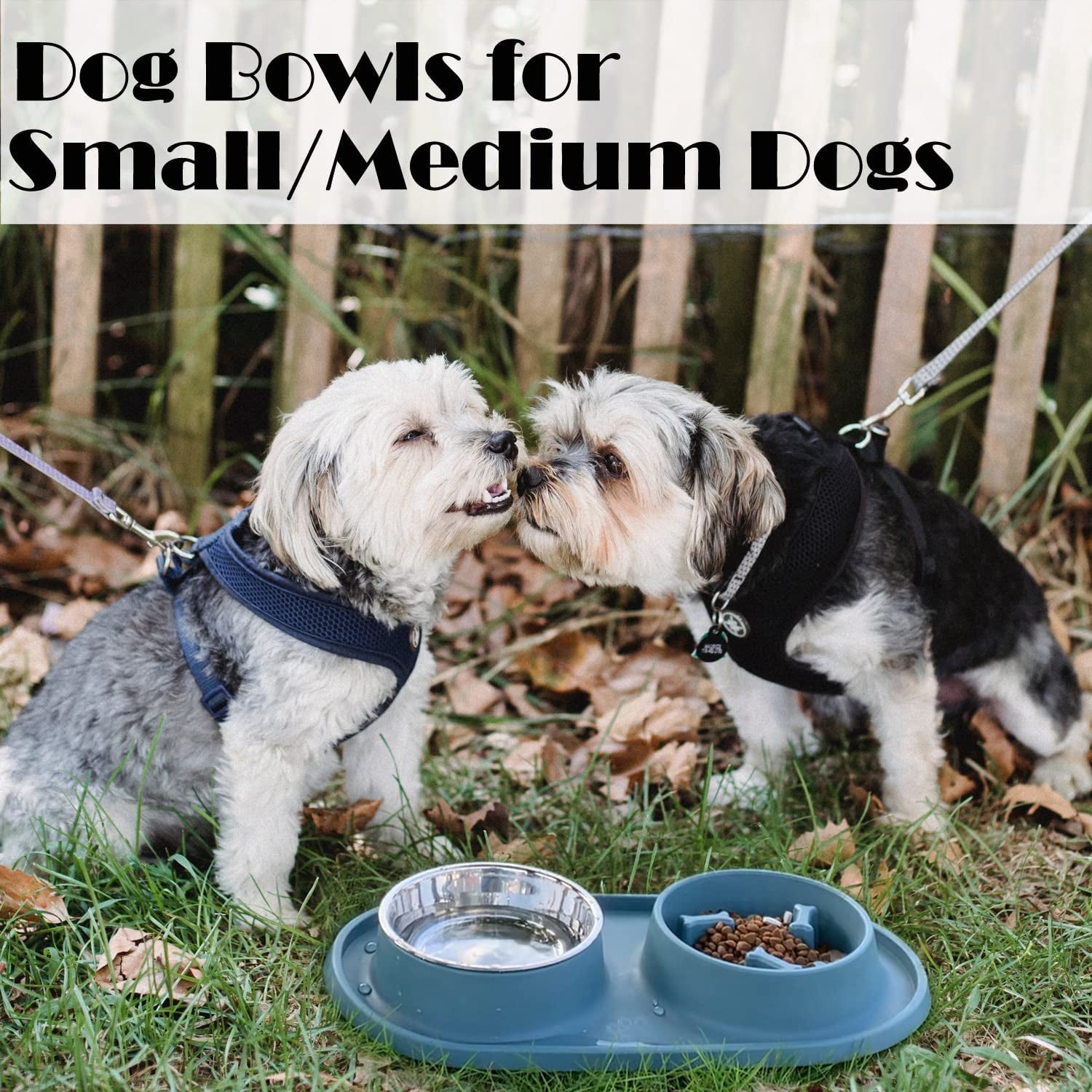 Dog Bowls Small Medium Sized Dog Food Bowl, Slow Feeder Dog Bowl Set, Stainless Steel Dog Bowls, Non-Skid Cat Dog Food and Water Bowls by Deyesom (Navy)