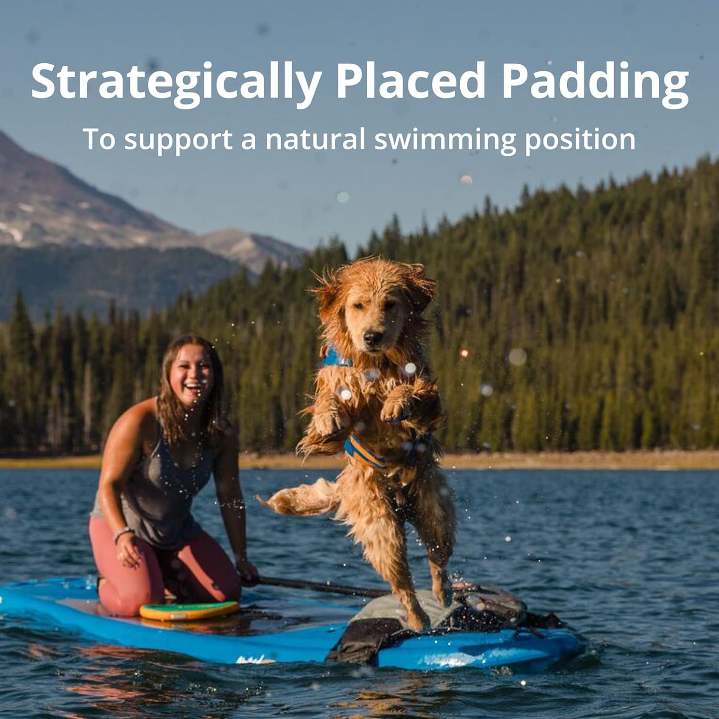 Ruffwear, Float Coat Dog Life Jacket, Premium Buoyancy Swim Vest with Lift Handle, Secure Fit & Reflective Trim, Adjustable Flotation for Swimming, Boating, & Outdoor Adventures, Blue Dusk, X-Small